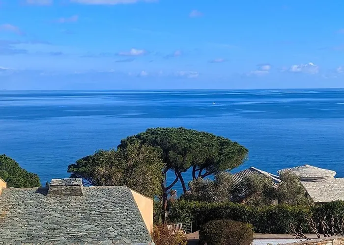 Superb Apartment With Sea View, 200M From Beach