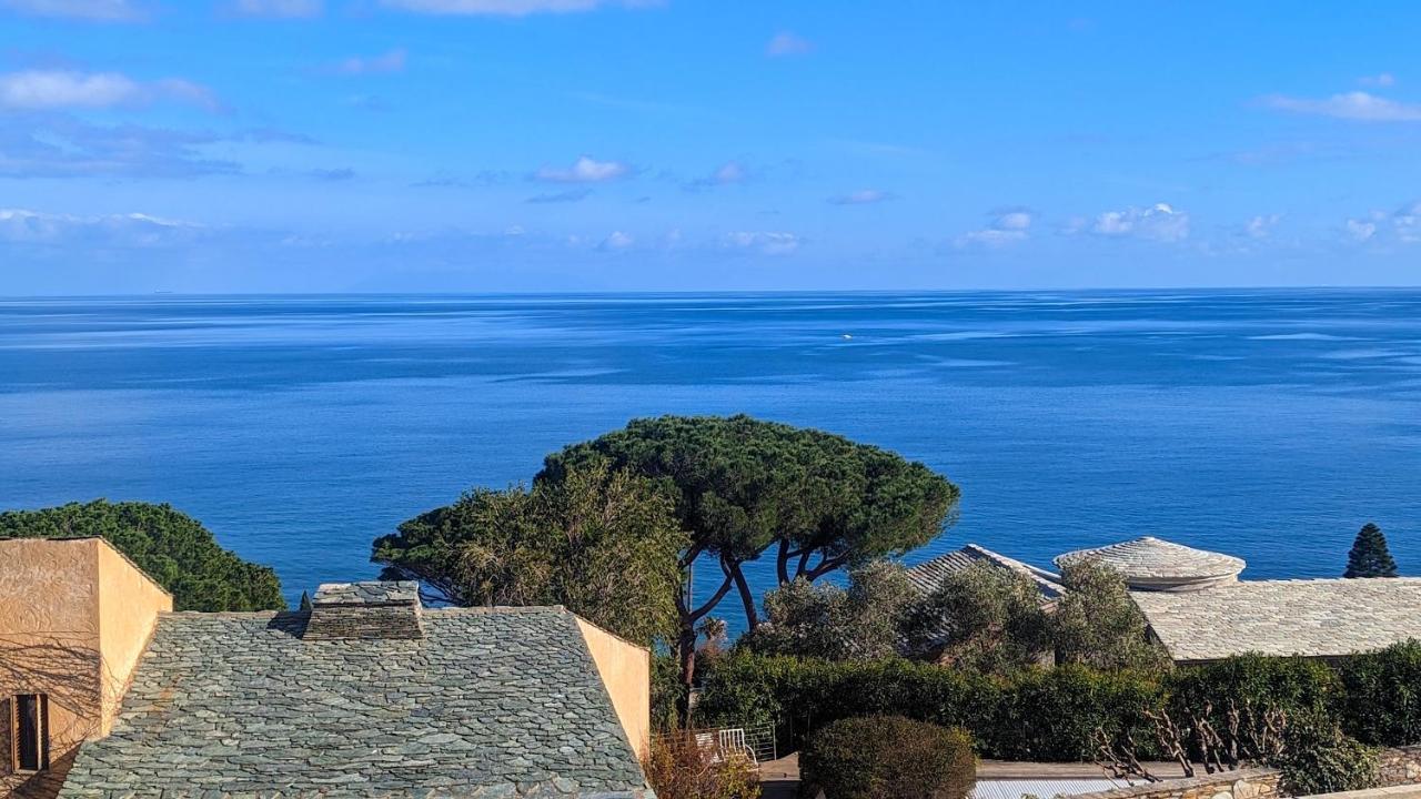 Apartment Superb With Sea View, 200m From *