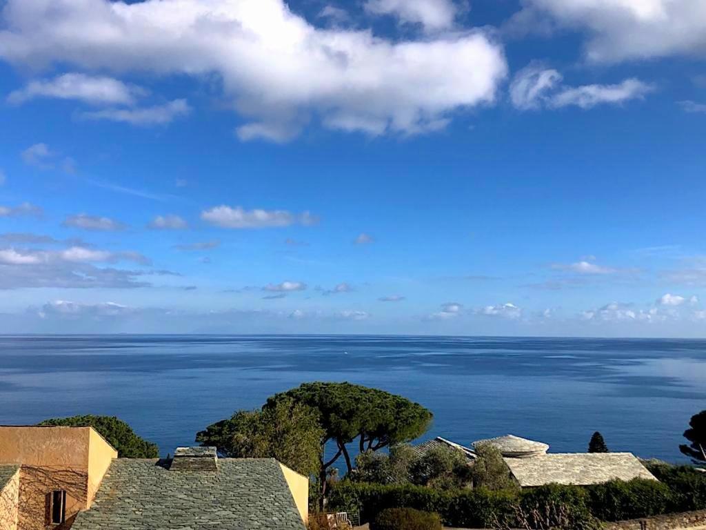 Apartment Superb With Sea View, 200m From *